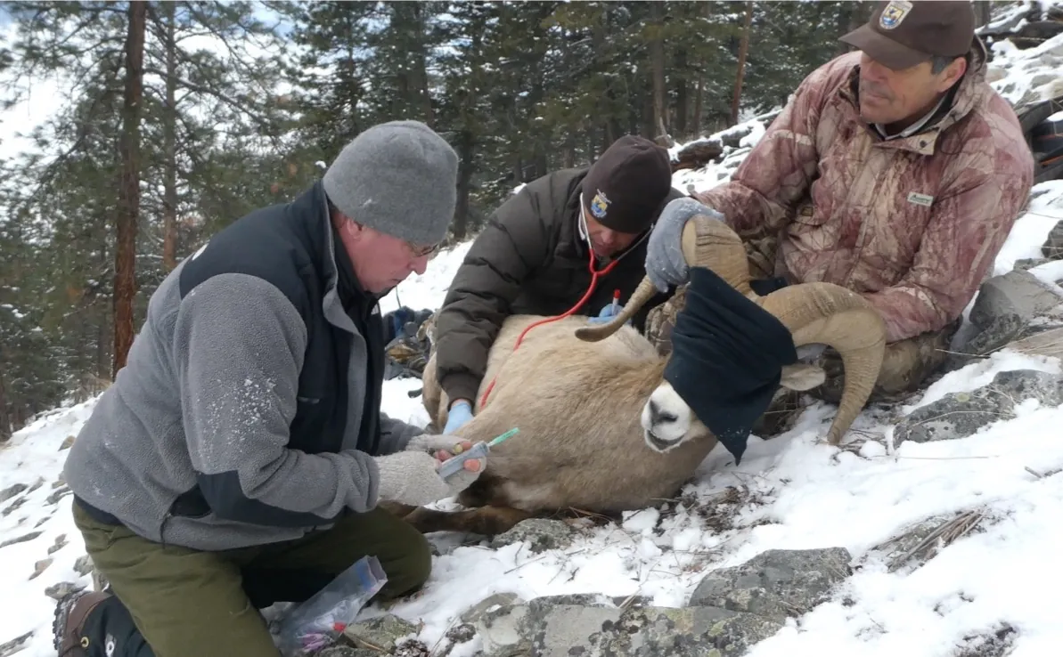 LogRx Presents an Ideal Drug Tracking Solution for Wildlife Professionals